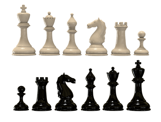 白と黒のチェス